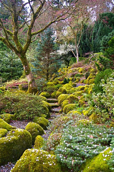 Escape to Paradise: Exploring Portland's Enchanting Magic Garden